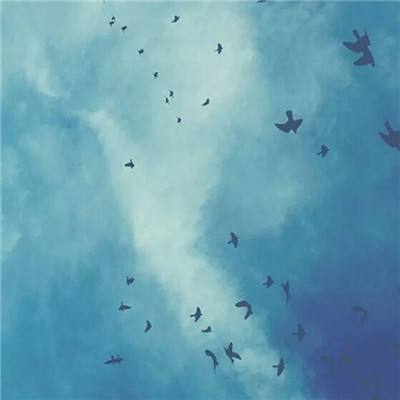 Kaiyun体育官方在线登录